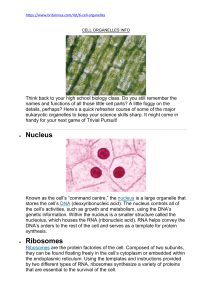 Cell organelles info