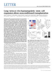 Long-term ex vivo haematopoietic-stem-cell  expansion allows nonconditioned transplantation