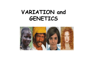Variation and Genetics 1