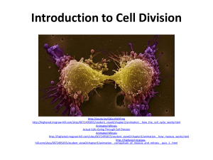 Cell Division Mitosis Meiosis ppt