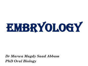 1-Embryology 1 2018
