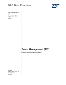321444139-117-ERP607-BB-ConfigGuide-en-BR-Batch-Management