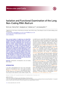 lnc RNA isolation