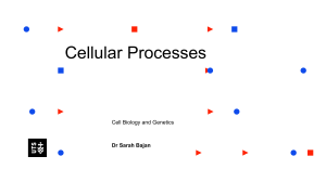 Cellular Processes Autumn 2019