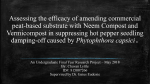 Assessing the efficacy of amending commercial peat-based substrate with Neem Compost and Vermicompost in suppressing hot pepper seedling damping-off caused by Phytophthora capsici
