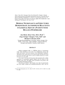 Neurovascular reactivity in BP