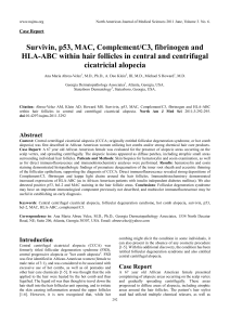 Survivin, p53, MAC, ComplementC3, fibrinogen and HLA-ABC within hair follicles in central and centrifugal cicatricial alopecia