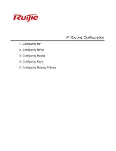 04XS-S1960-H Series Switch RGOS Configuration Guide, Release 11.4(1)B12P10 IP Routing Configuration