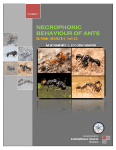 NECROPHORIC BEHAVIOUR OF ANTS