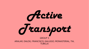 Active-Transport