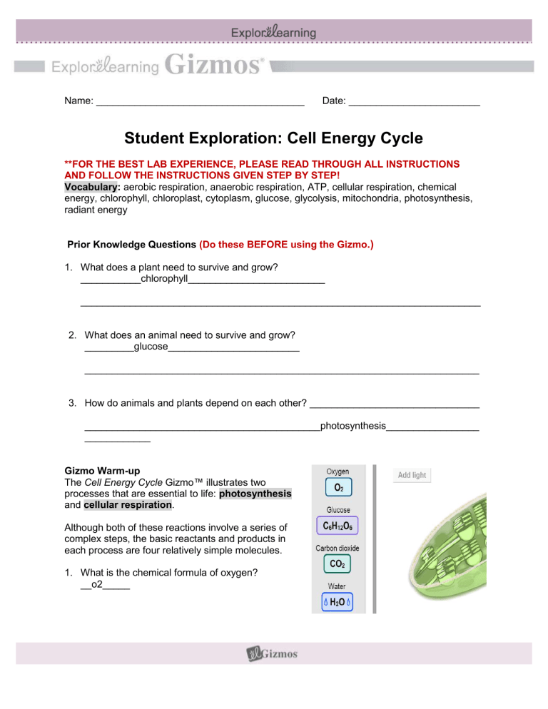 Student Exploration Cell Energy Cycle 1