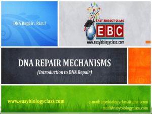 DNA-Repair-Mechanisms-PPT-by-Easybiologyclass