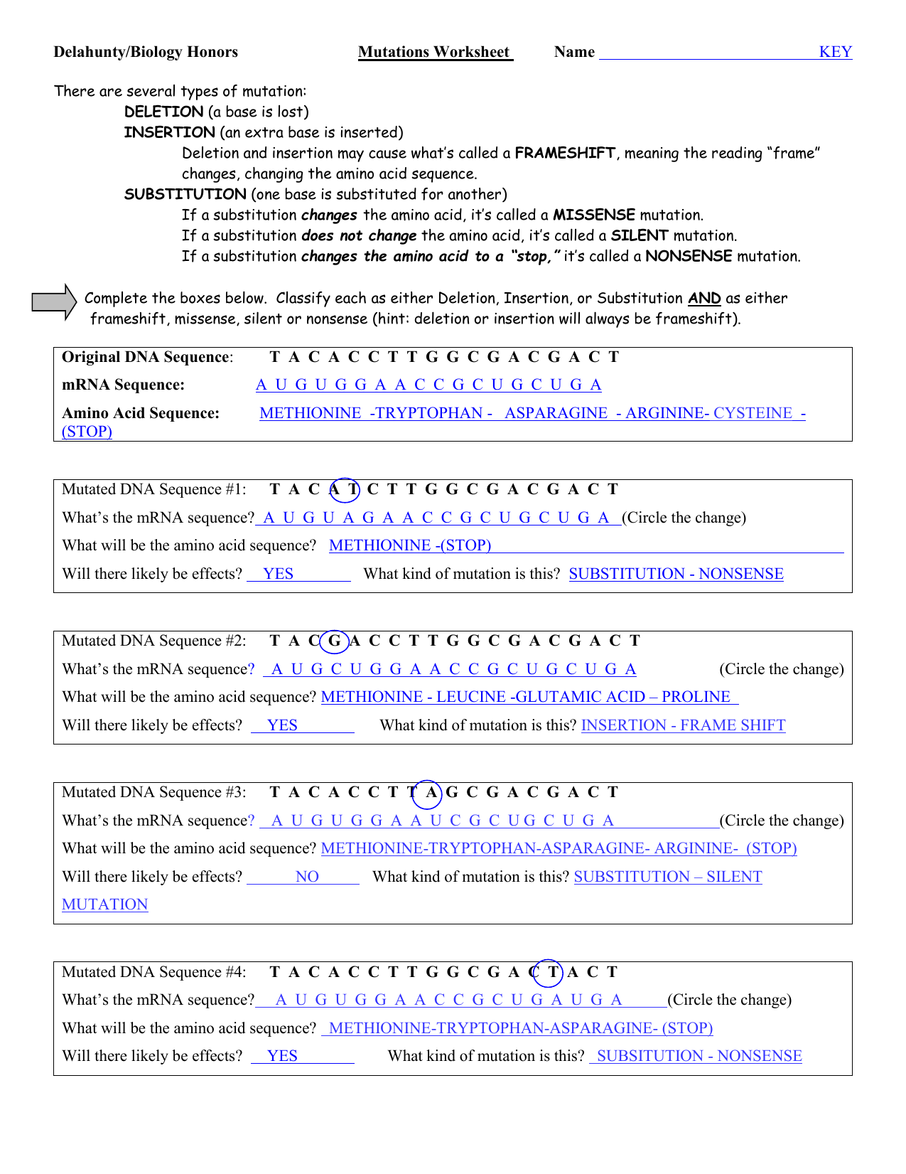 Mutations - WS - KEY Within Genetic Mutations Worksheet Answer Key