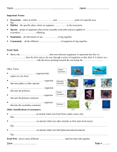 Food Chains and Webs Interactive Notebook Notes 2019