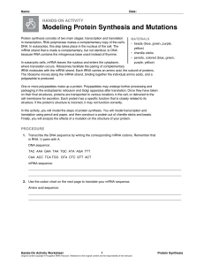 Biology Protein Synthesis Activity