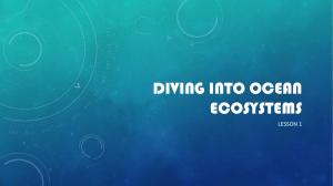 Lesson1Diving into ocean ecosystems