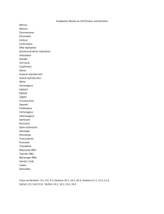 Vocabulary Words on Cell Division and Genetics