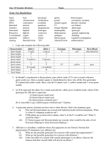 genetics revision