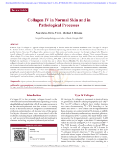 Collagen IV PDF