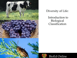 1 Diversity of Life - Introduction to Bioligical Classification (1)