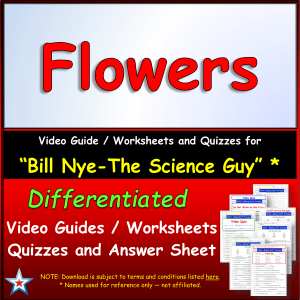 Bill Nye Flowers