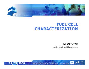 Fuel cells - characterization