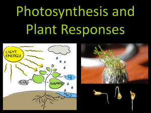 Photosynthesis and Plant Responses
