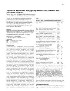Glycoside hydrolases and glycosyltransferases families and functional module