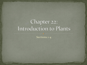 Chapter 22: Intro to Plants