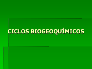 142875587-Ciclos-biogeoquimicos-ppt