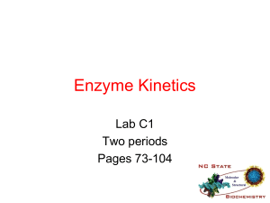 Lecture 3  Enzyme Kinetics (2008)