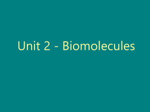 Biomolecules Review (1)