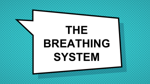 the breathing system