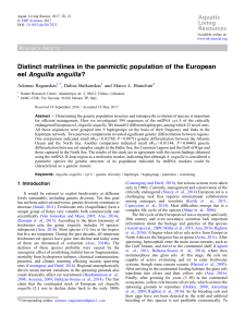 Distinct matrilines in the panmictic population of the European eel Anguilla anguilla?