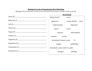 Day 1- Levels of Organization Word Hunt