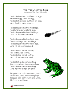 frog song