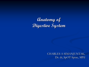 03A-Digestive System2018