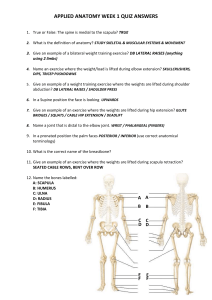 Anatomy Quiz with ANSWERS