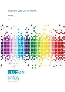 231 07a Electricity Data Quality Working Group Report v1.0