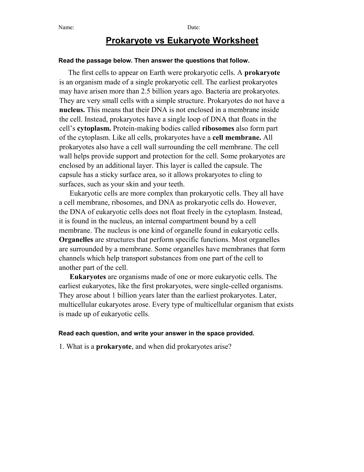 prokaryote vs eukaryote worksheet Throughout Prokaryote Vs Eukaryote Worksheet