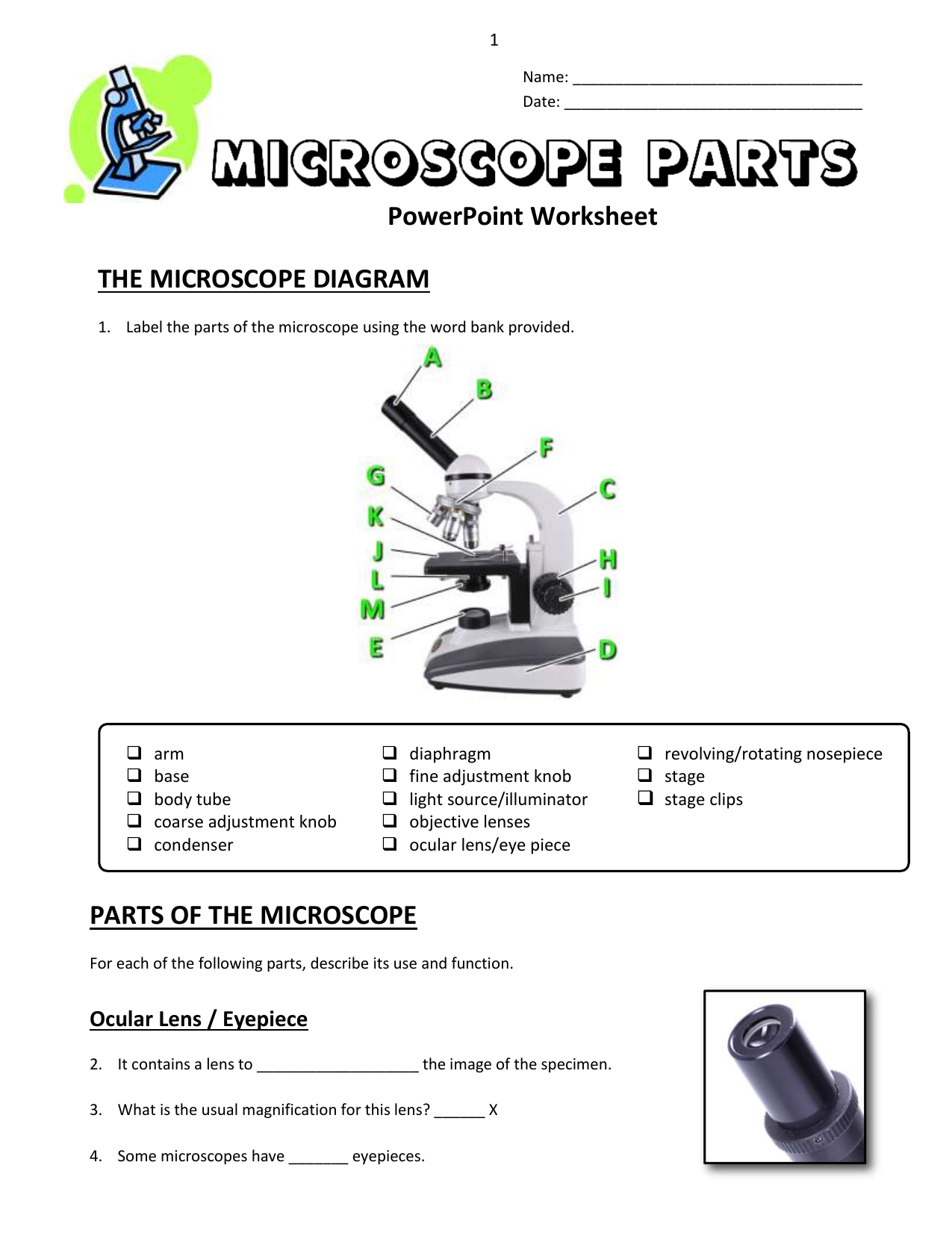 Parts Of A Microscope Worksheet