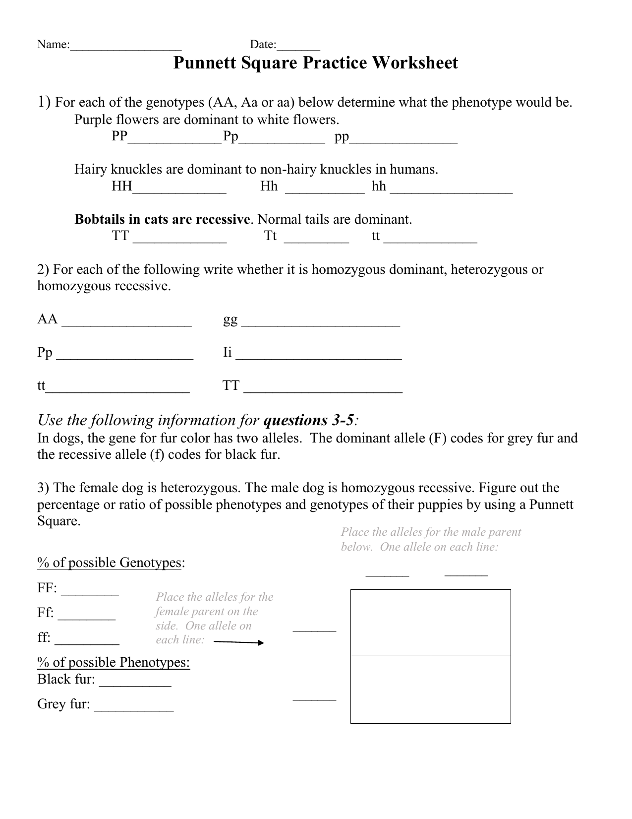 Punnett Square Practice Worksheet With Answers