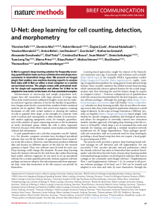 2018-U-Net deep learning for cell counting detection and morphometry