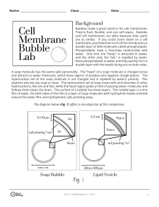 Cell-Membrane-Bubble-Lab