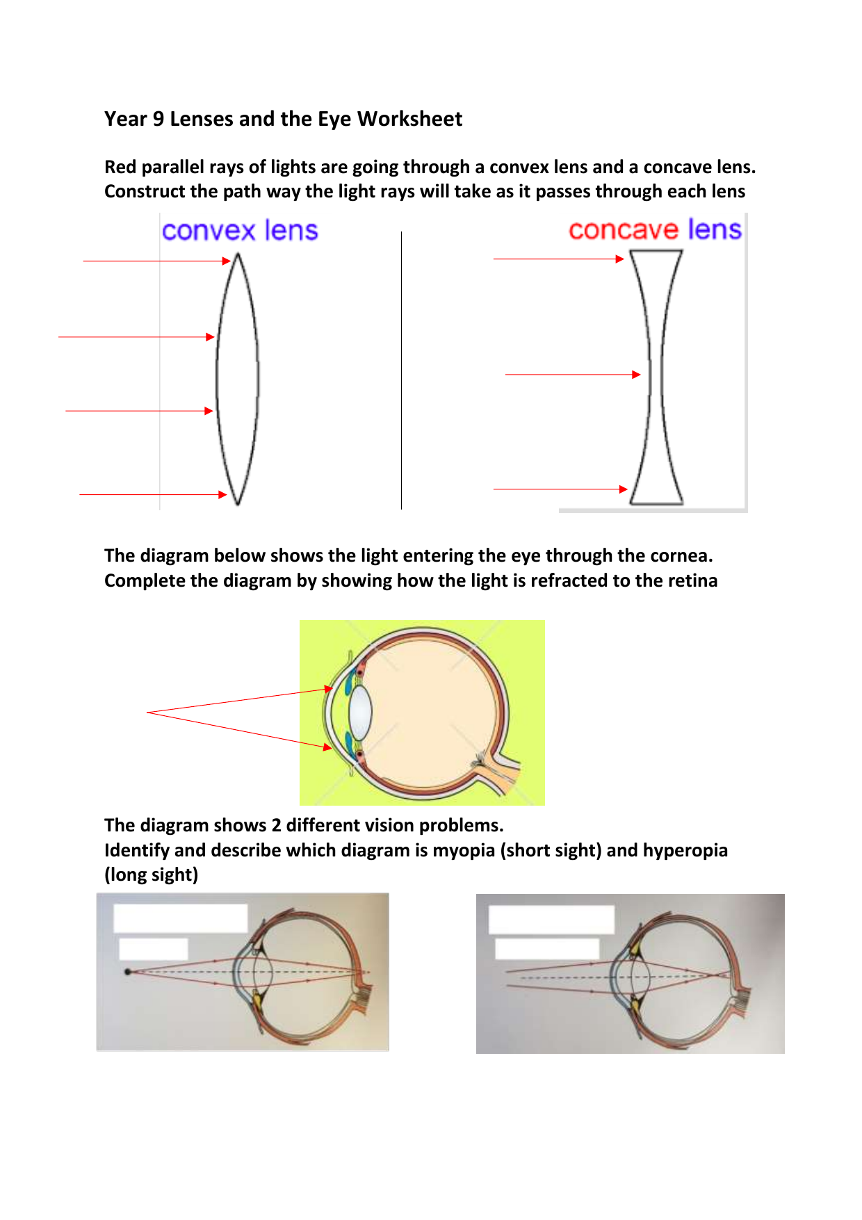 Lenses And The Eye Worksheet