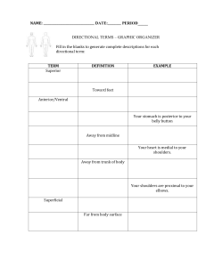 Anatomical Directional Terms Worksheet