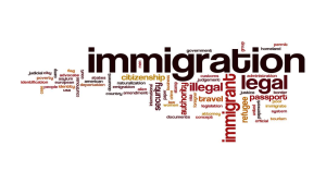 Immigration Voacb Intro Lesson