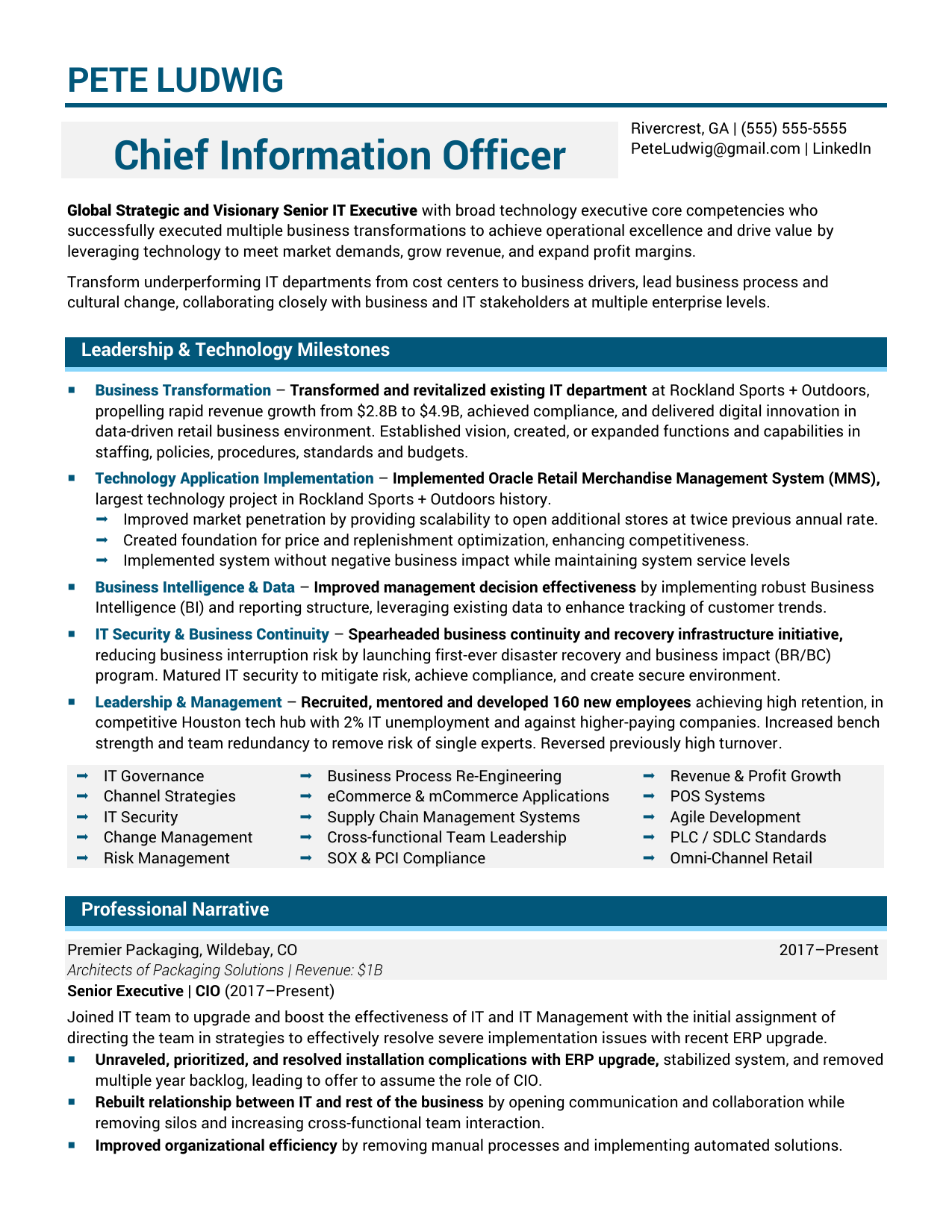 Chief Information Officer Resume Sample 1