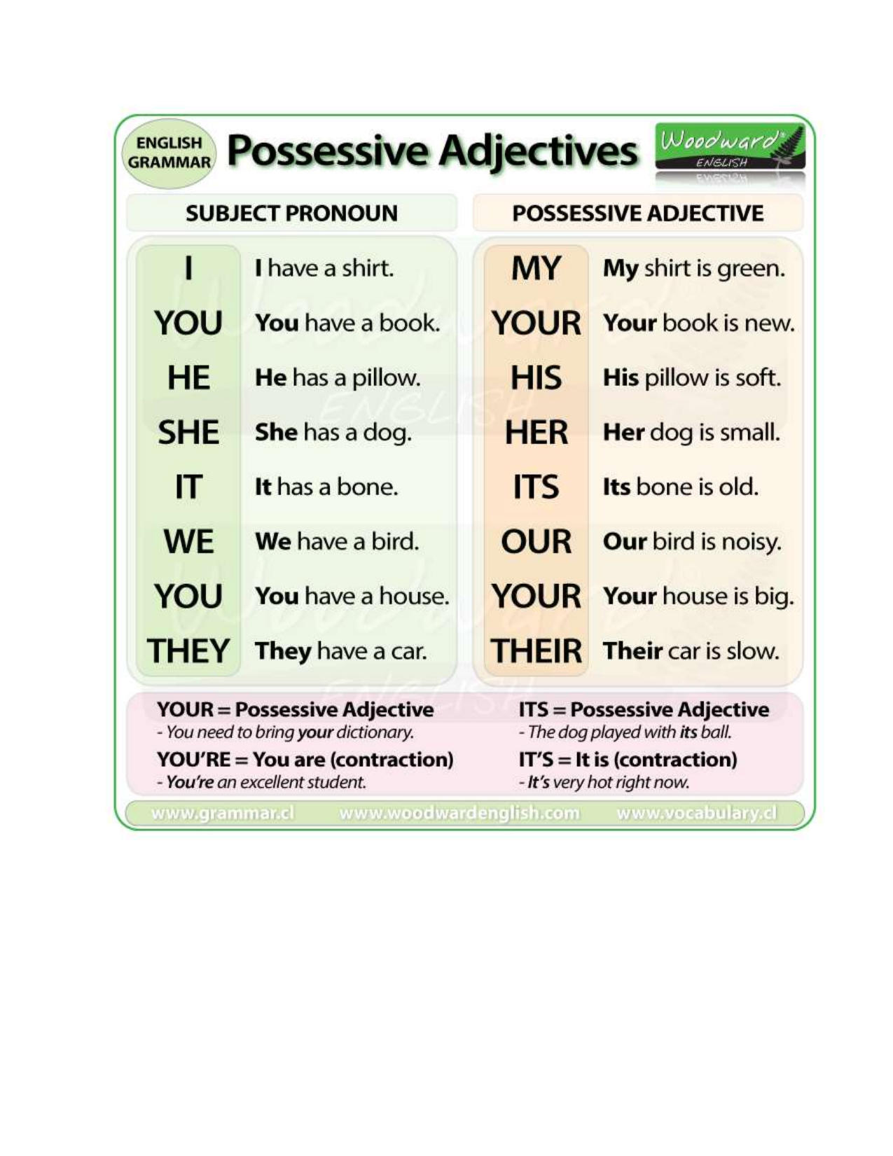 Переведи с английского his. Possessive adjectives. Possessive adjectives в английском. Possessive adjectives предложения. Possessive adjectives перевод.