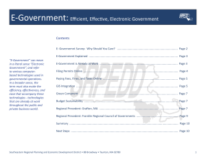 e-government-white-paper